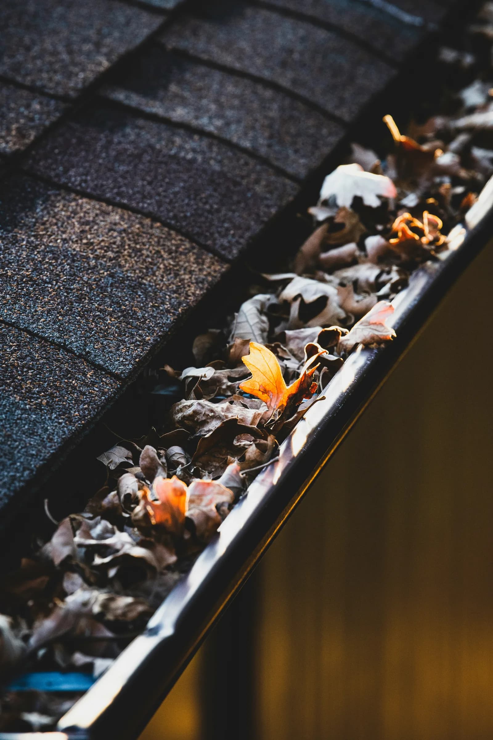 Gutter clogged with fallen autumn leaves